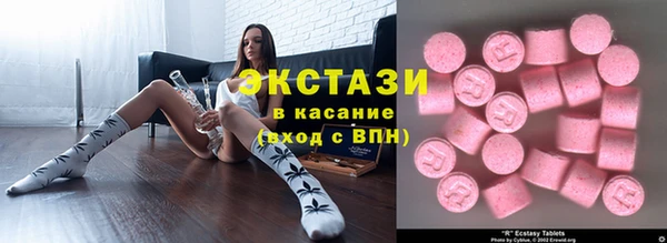 крисы Богородицк