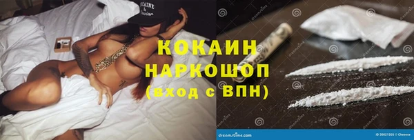 крисы Богородицк