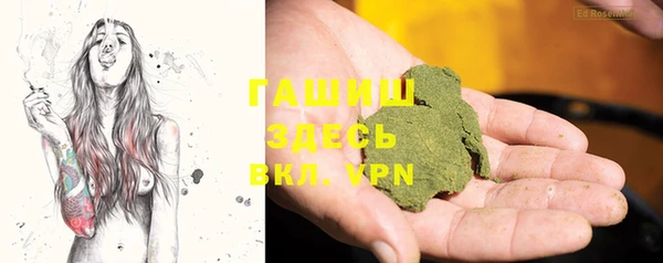 крисы Богородицк