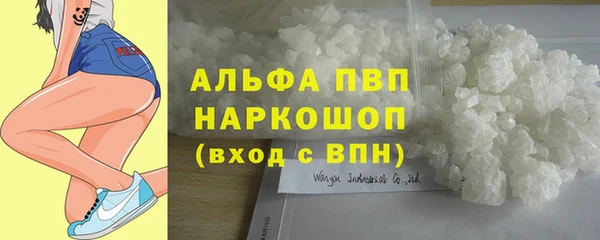 крисы Богородицк