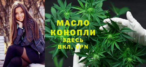 крисы Богородицк