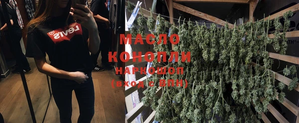 крисы Богородицк