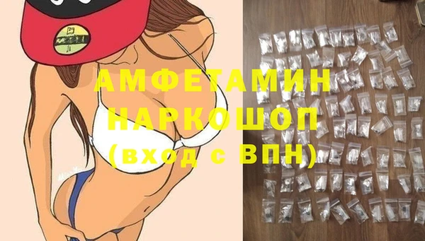 крисы Богородицк