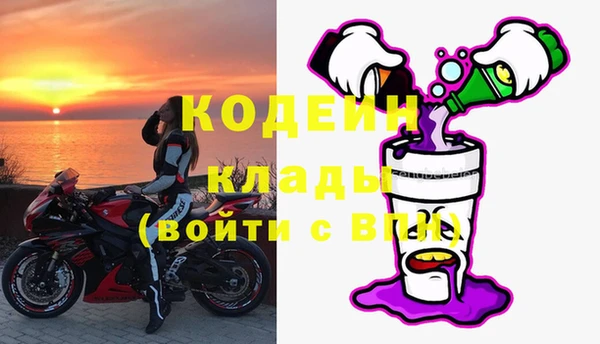 крисы Богородицк