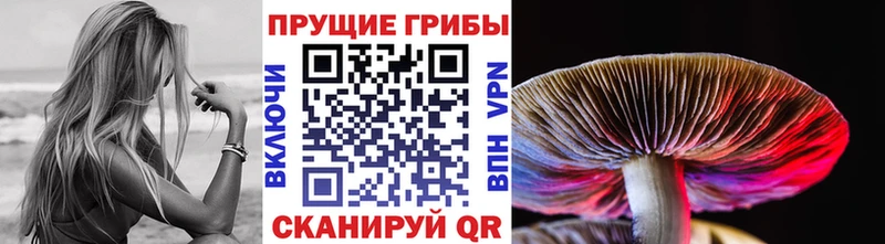 Псилоцибиновые грибы ЛСД где продают наркотики кракен зеркало Наро-Фоминск